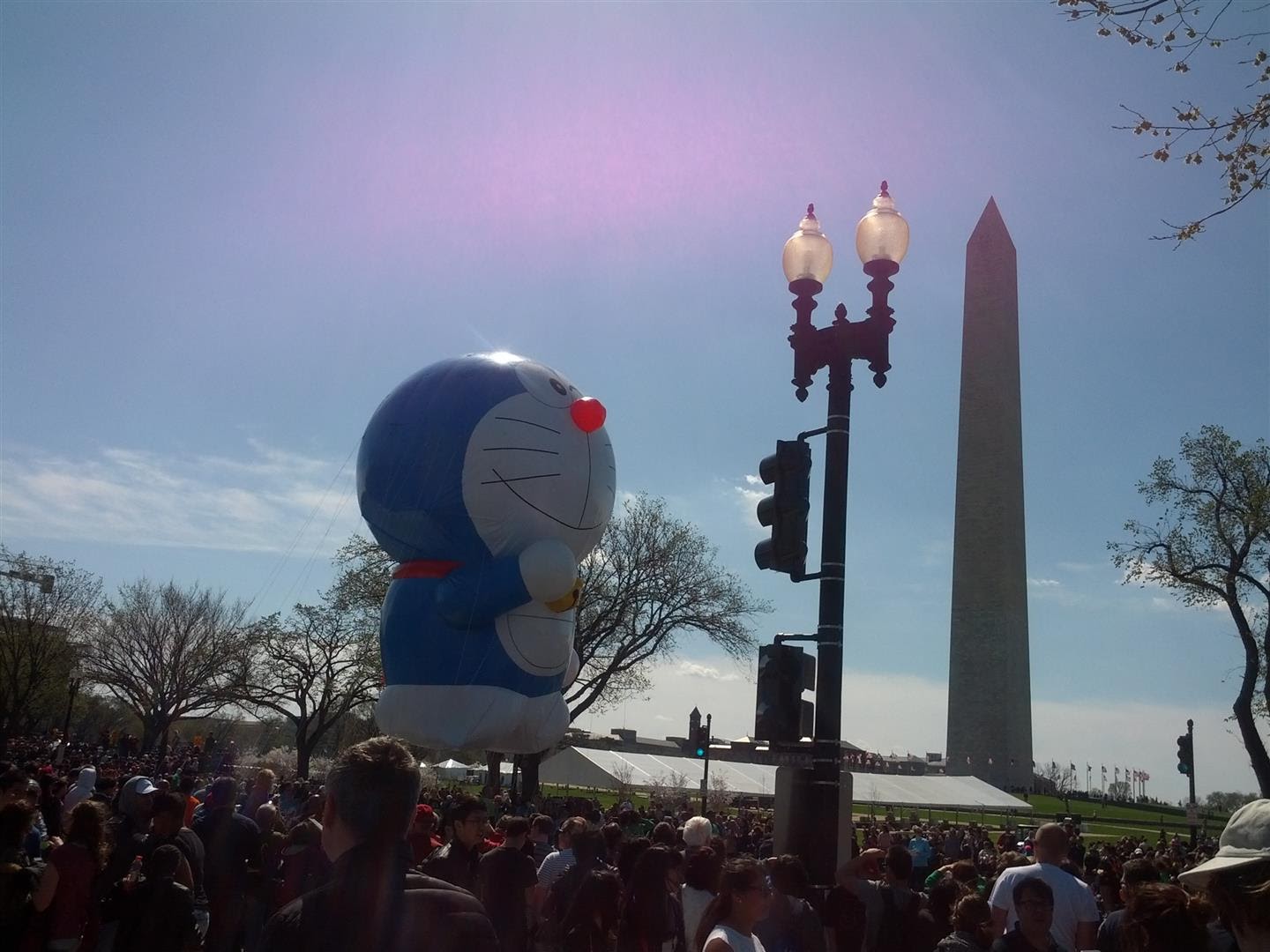 2030.washington aprile 2015.cherry blossom parade